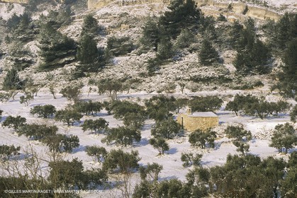 France, Provence, Neige en hiver   Snow in Provence