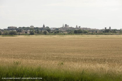 10 06 2008 - Arles and surroundings (FRA, 13) - Vincent Van Gogh south