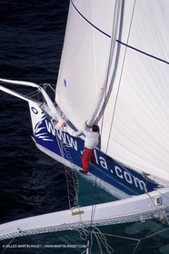 RhuMulti11.jpg