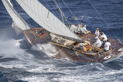 18VSTD5_7871.jpg