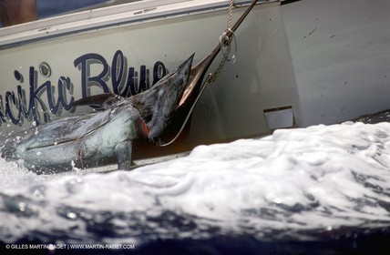 Sport fishing