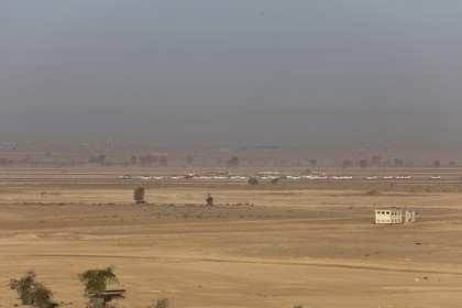 20 11 2010 - Dubai (UAE) - Camel races