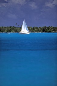 Polynesia