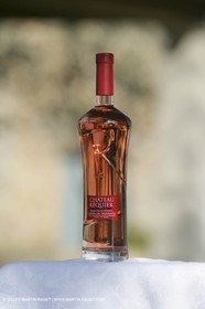 28 02 2008 - Cabasse (FRA, 83) - Domaine du Lac vines