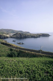 Anse de Terrimbo, sud Cerbère (Fra,66)