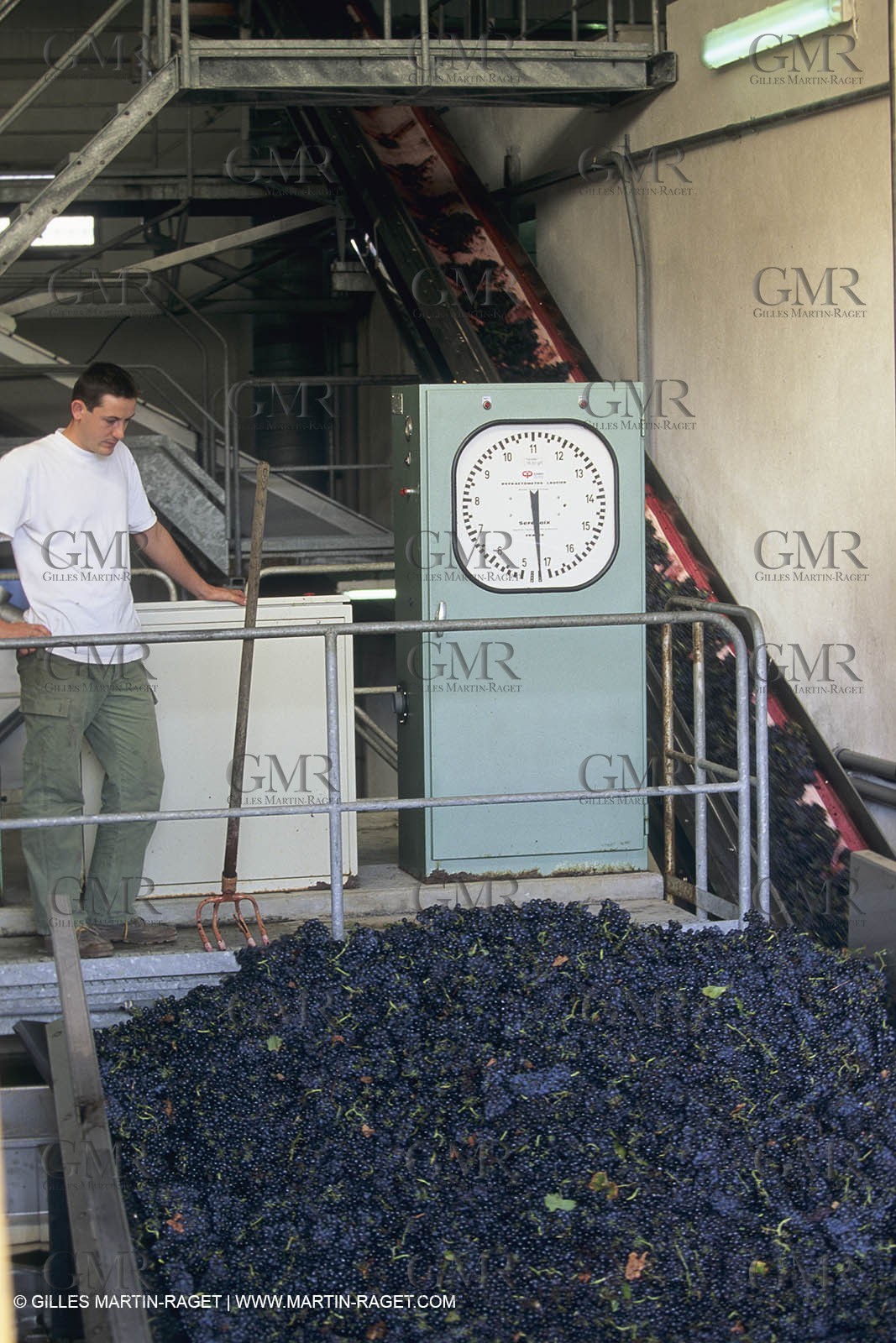 Vin, Vigne , Vendanges, vignification, vignobles, France, Provence, Côte du Rhône, Rosé