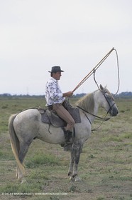 France, Provence, Camargue, Gardians de Camargue, métier, fêtes, élevage, tri