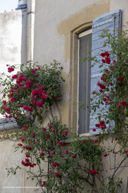 11 05 2018, Lourmarin (FRA,84)