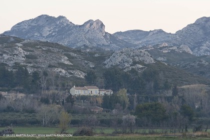 22 02 2008 - Maussane (FRA, 13) - Alpilles hills landscapes