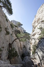 18 04 2009 - Marseille (FRA, 13) - Les Calanques - Vallon St Michel - Le pas des Géants