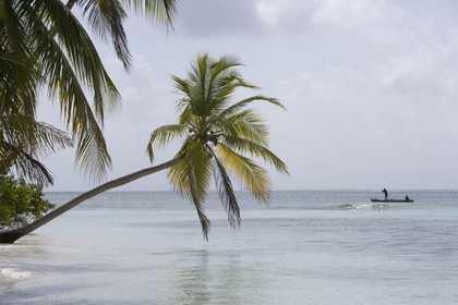 01 02 2008 - San Blas Archipelago (Panama) - Motor Yacht Senses