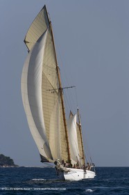 YC9H8260.JPG