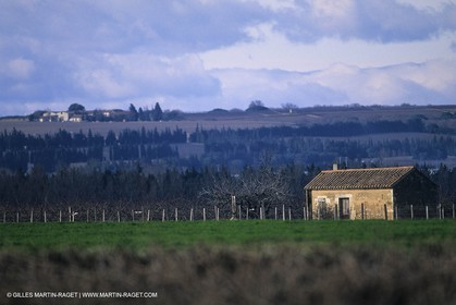 Paysages de Nîmes Métropole (FRA,30) - Les costières