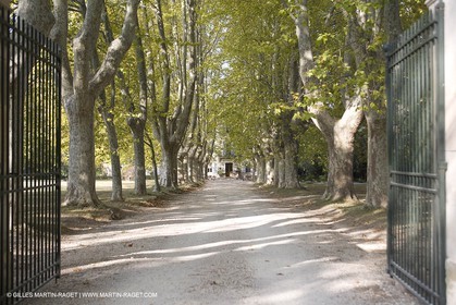 28 10 2007 - St Rémy de Provence (FRA,13) - Chateau des Alpilles