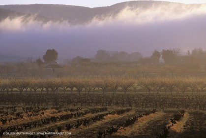Luberon en hiver vers Saint Saturnin les Apts (FRA,84)