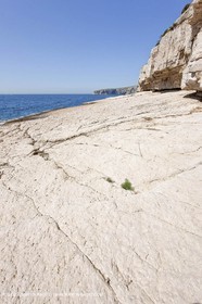 07 05 2009 - Marseille (FRA, 13) - Les Calanques - La Lèque