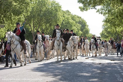 01 05 2009 - Arles (FRA-13) - Fête des Gardians