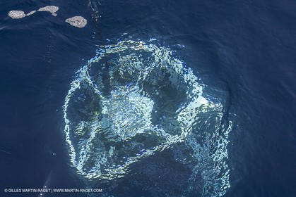 11 09 2014 - la Ciotat (FRA,13) - onboar Al Azzizi, oceanographic research ship buit by H2X boat yard, measure devices manipuation