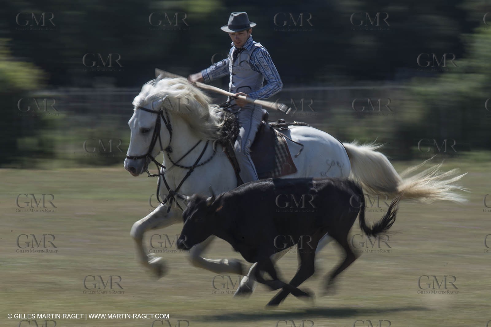Course de Satin 2014 - Arles (FRA,13) - 1 06 2014**The satin race - Arles (FRA,13) - 01 06 2014