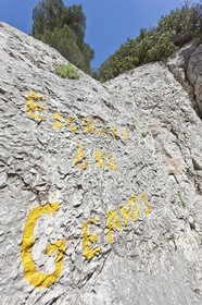 18 04 2009 - Marseille (FRA, 13) - Les Calanques - Vallon St Michel - Le pas des Géants