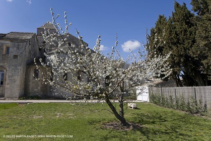 25 03 2005 - Saint Rémy de Provence - (FRA,13) - Le Midi de Van Gogh - Saint Paul de Mausole