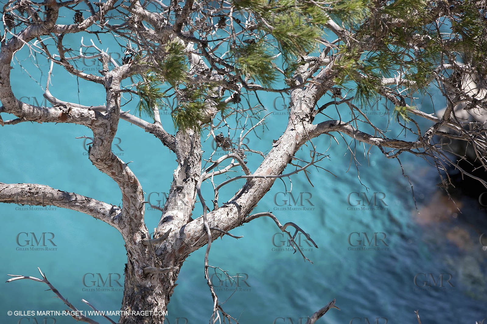 27 05 2009 - Marseille (FRA, 13) - Les Calanques - Sormiou