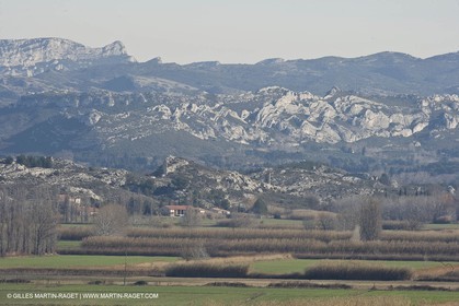 05 02 2008 - Arles (FRA, 13) - Arles surroundings landscapes
