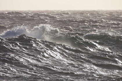 27 08 2010 - Minorque (ESP) - Cap Favaritx (côte Est)