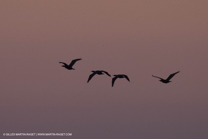 21 12 2014, Barcelona (ESP), Barcelona World Race 2014-15,