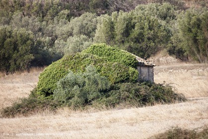 25 09 2009 - Sernhac (FRA,30)