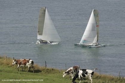 Championnat ORMA des Multicoques 2004 - Grand Prix de Fecamp