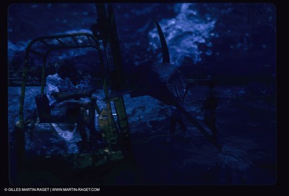 Water sports, Sportfishing, pêche au gros