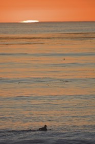 17 11 2008 - San Diego (USA, CA)