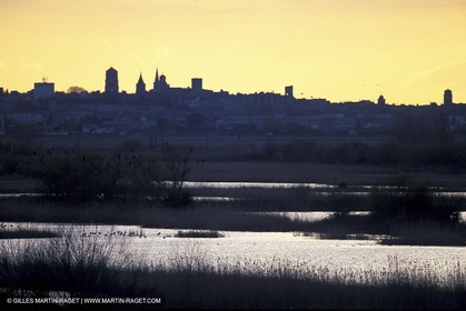 Ponds near Arles