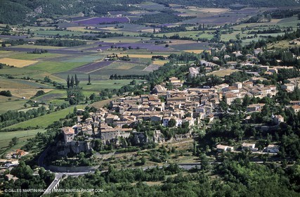 Sault, 2005, Champs de lavande