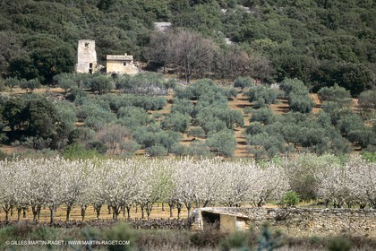 Luberon en hiver vers Saint Saturnin les Apts (FRA,84)