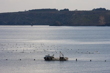 20 04 2010 - Camaret (FRA,29)