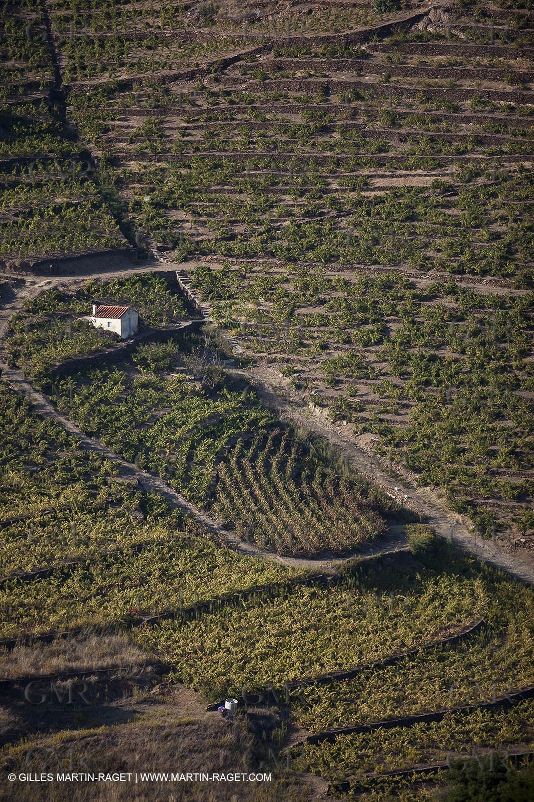 17 10 2011 - Vermeille Coast (FRA, 66) - Corbières Vineyards