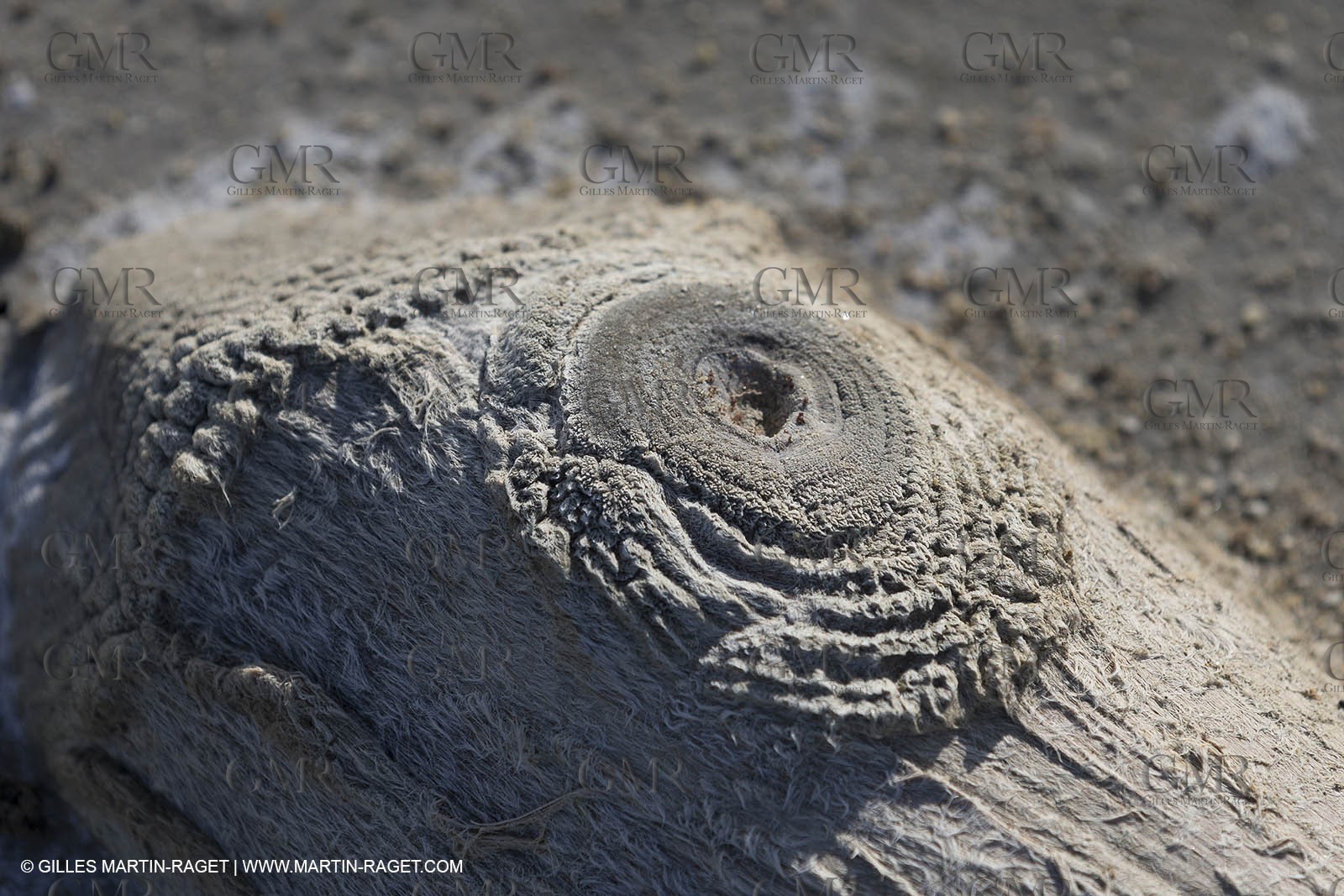 23 10 2014, Salins de Giraud (FRA,13), Salt & Speed 2014, Charlotte Consorti