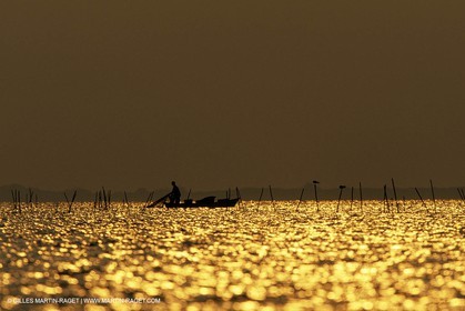 Camargue (FRA,13) - Gardians