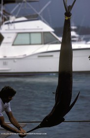 Sport fishing