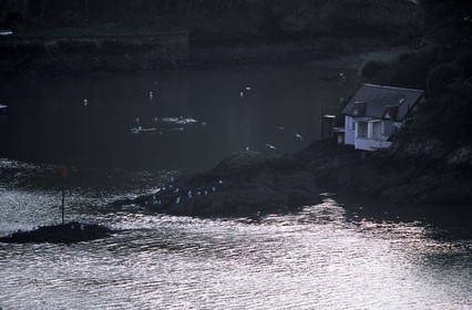 Darmouth (Devon) - Angleterre