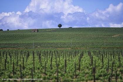 costieres0025