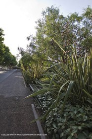 06 06 09 - Sanaray Sur Mer (FRA,83)