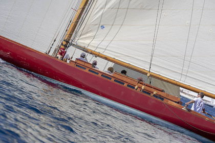 RRoyales18_5053.jpg