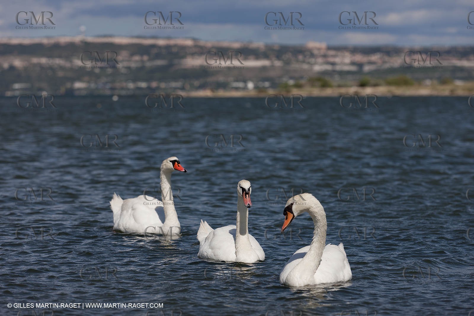 13 06 2012 - Berre l'Etang (FRA,13)