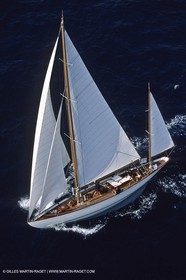Dorade