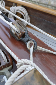 29 03 2019, Barcelona (Spain), Marigold