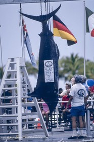 Water sports, Sportfishing, pêche au gros