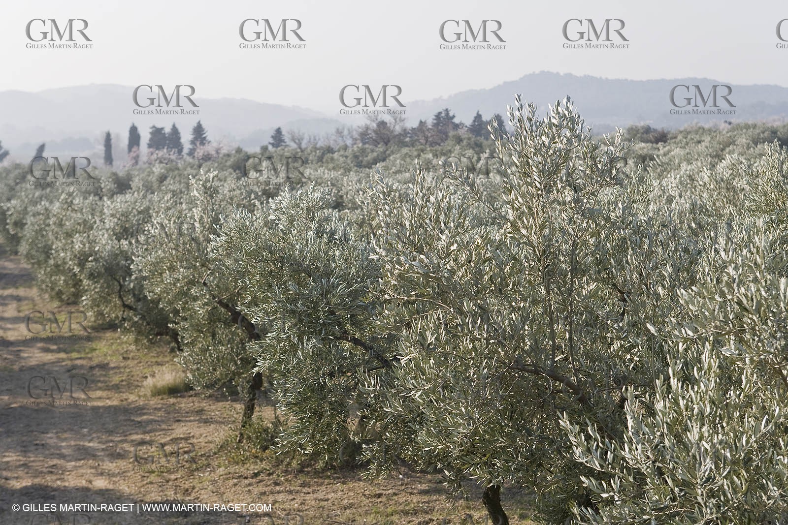 16 02 2008 - Les Baux de Provence (FRA, 13) - Alpilles hills landscapes